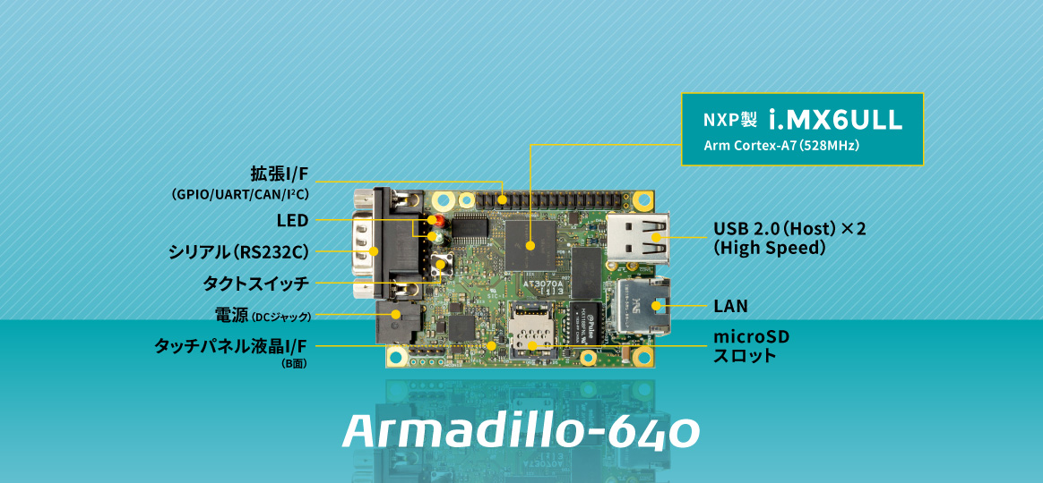 about_armadillo-640-01